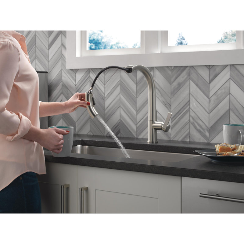 Delta Keele Pull Down Kitchen Faucet & Reviews Wayfair